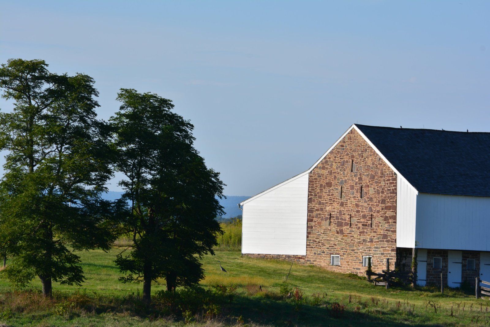 Image15.jpg