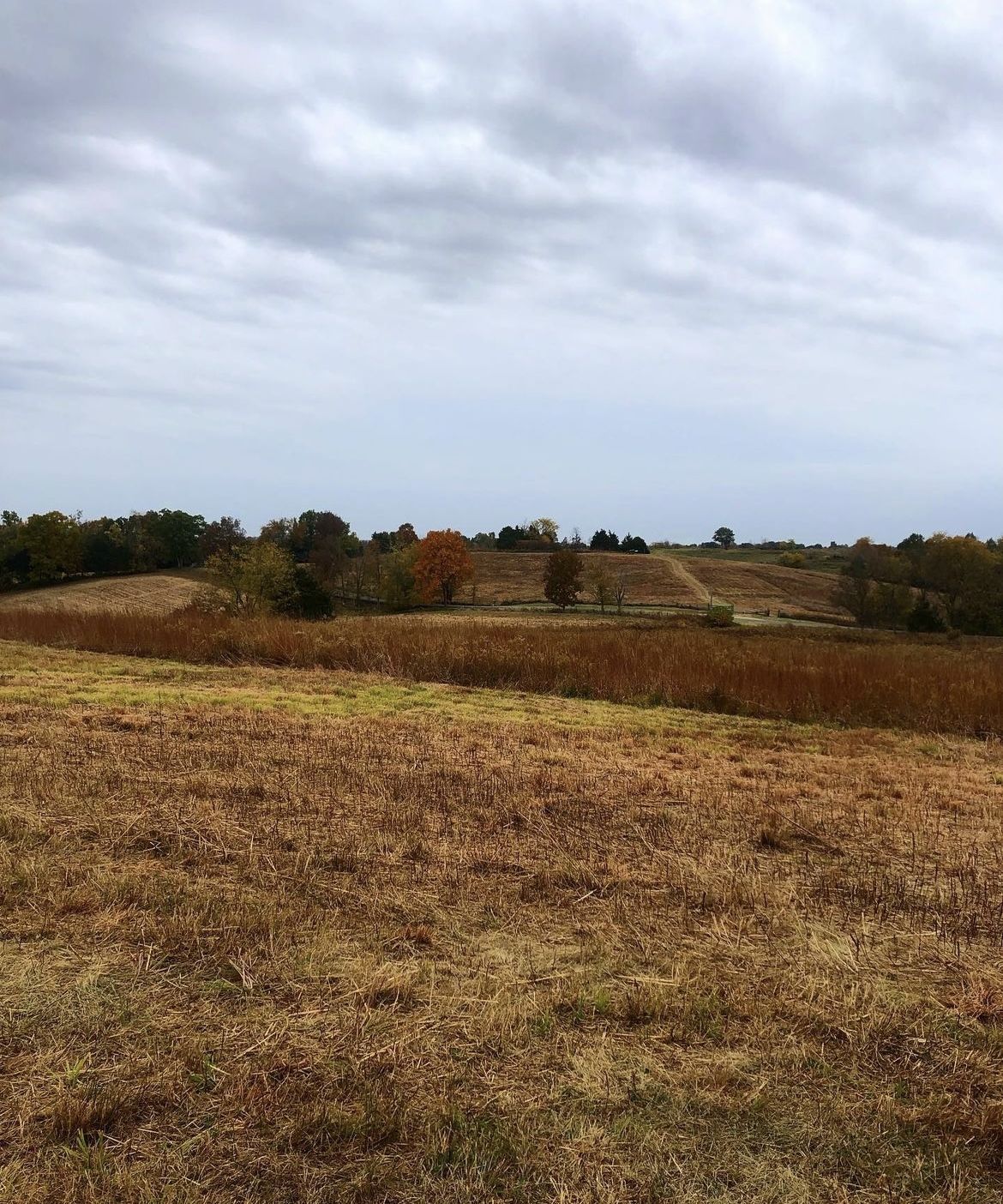 image4 (2).jpeg