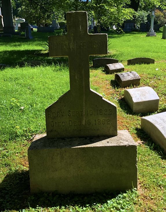 image4 (4).jpeg