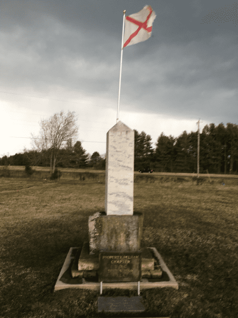 Image7.png