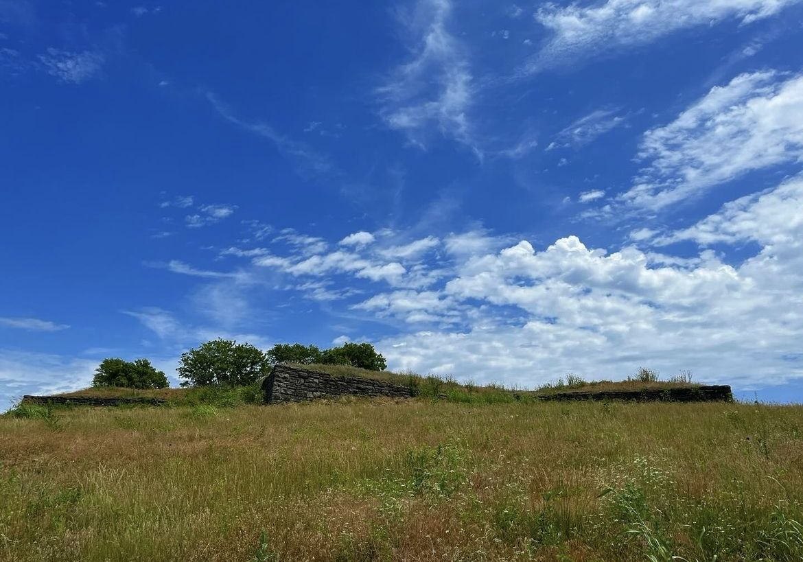 image8 (1).jpeg
