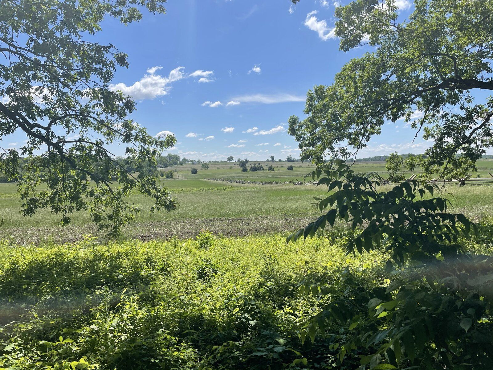 IMG_0206.JPEG