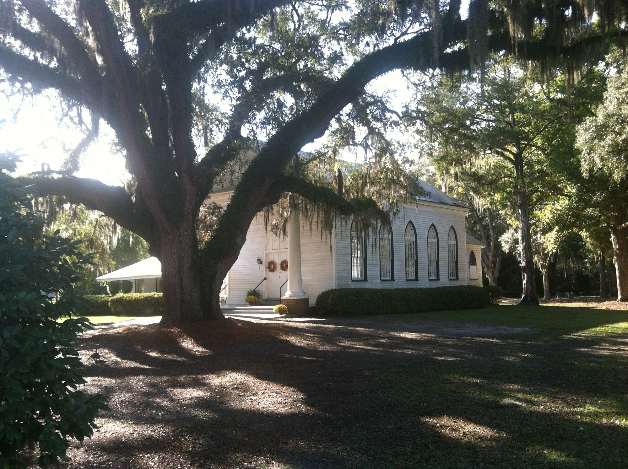 IMG_0286.jpeg