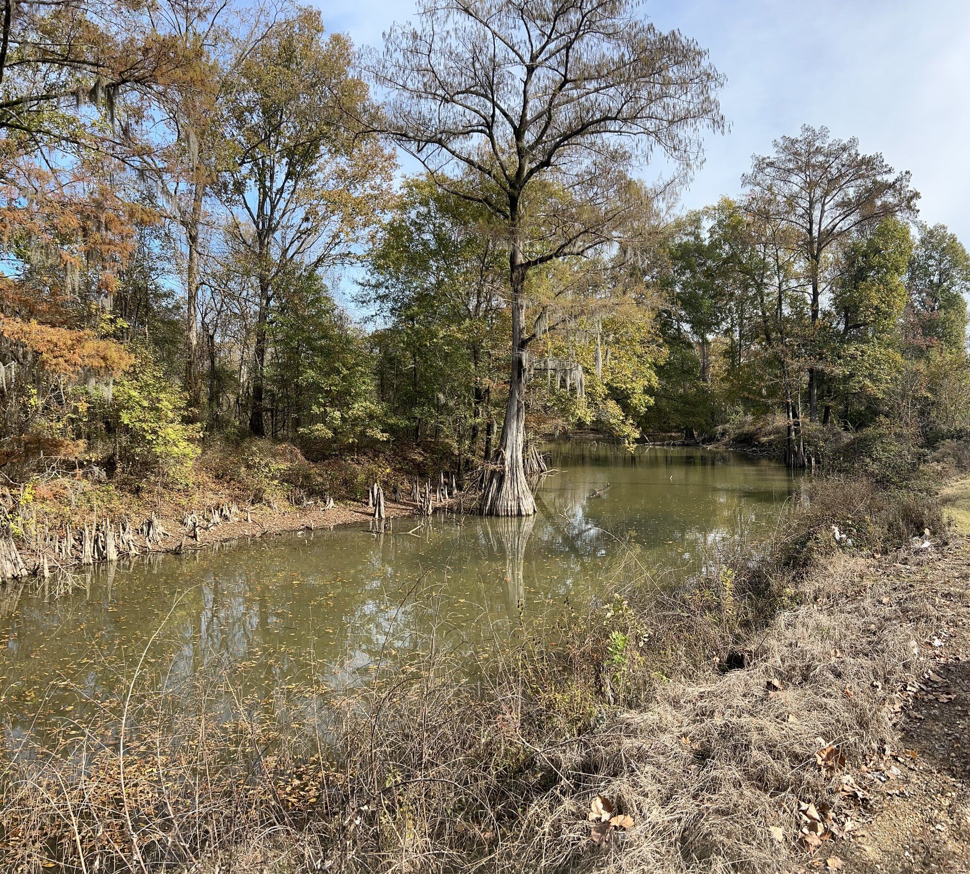 IMG_0304.jpeg