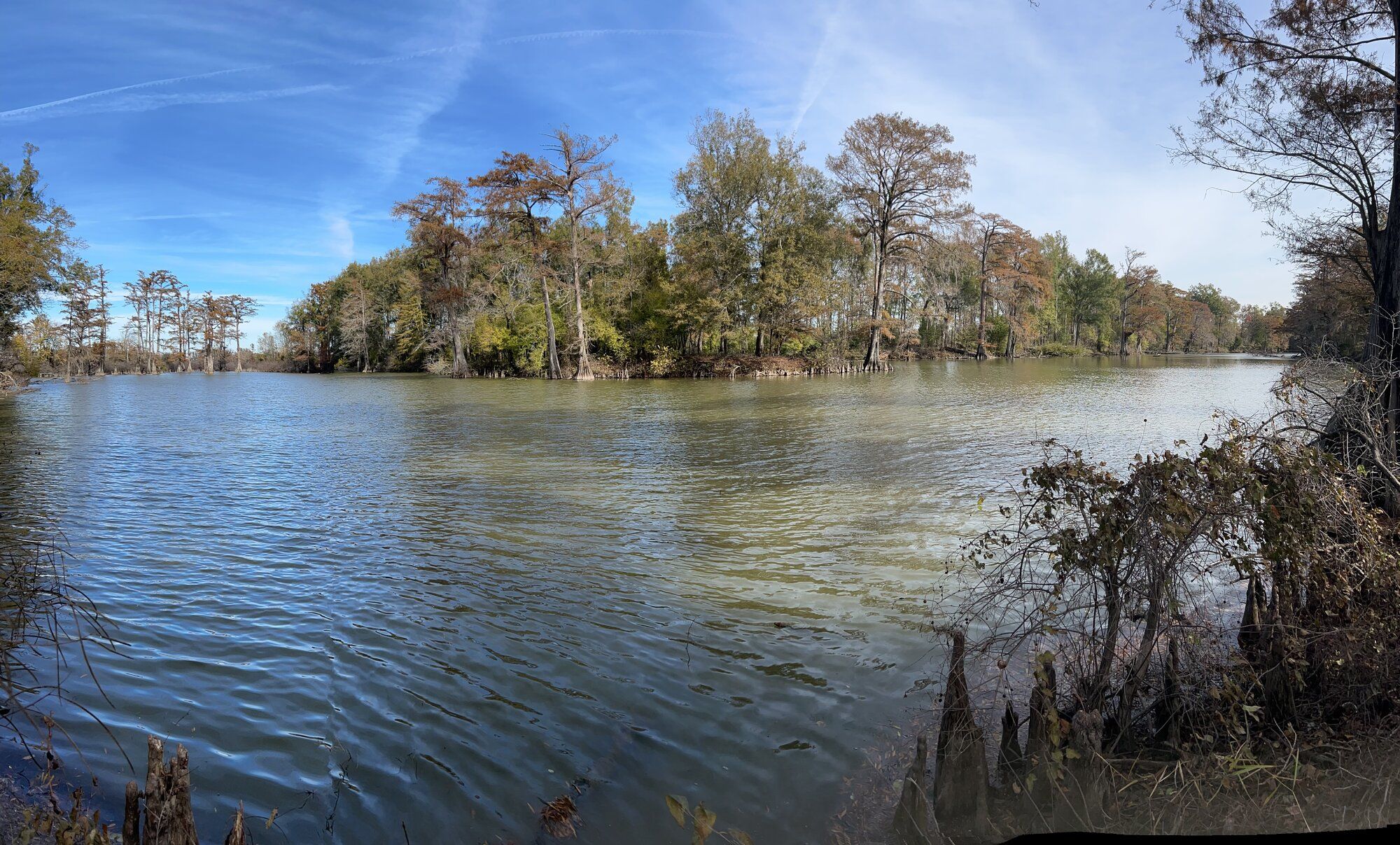 IMG_0306.jpeg
