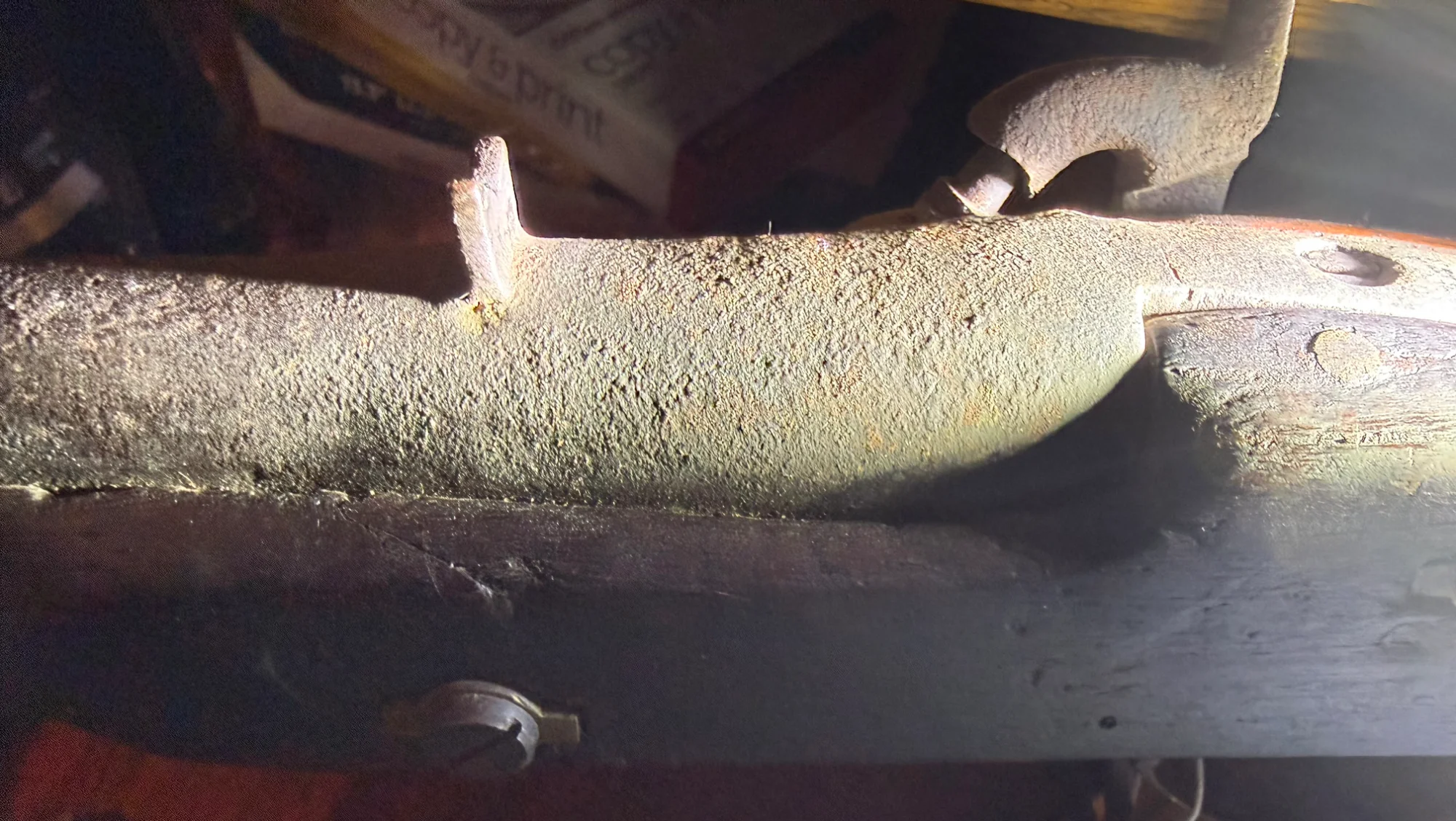 IMG_0735.webp