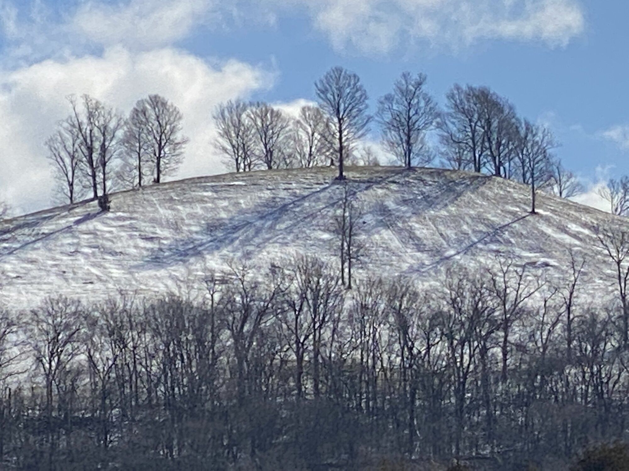 IMG_1019.jpeg
