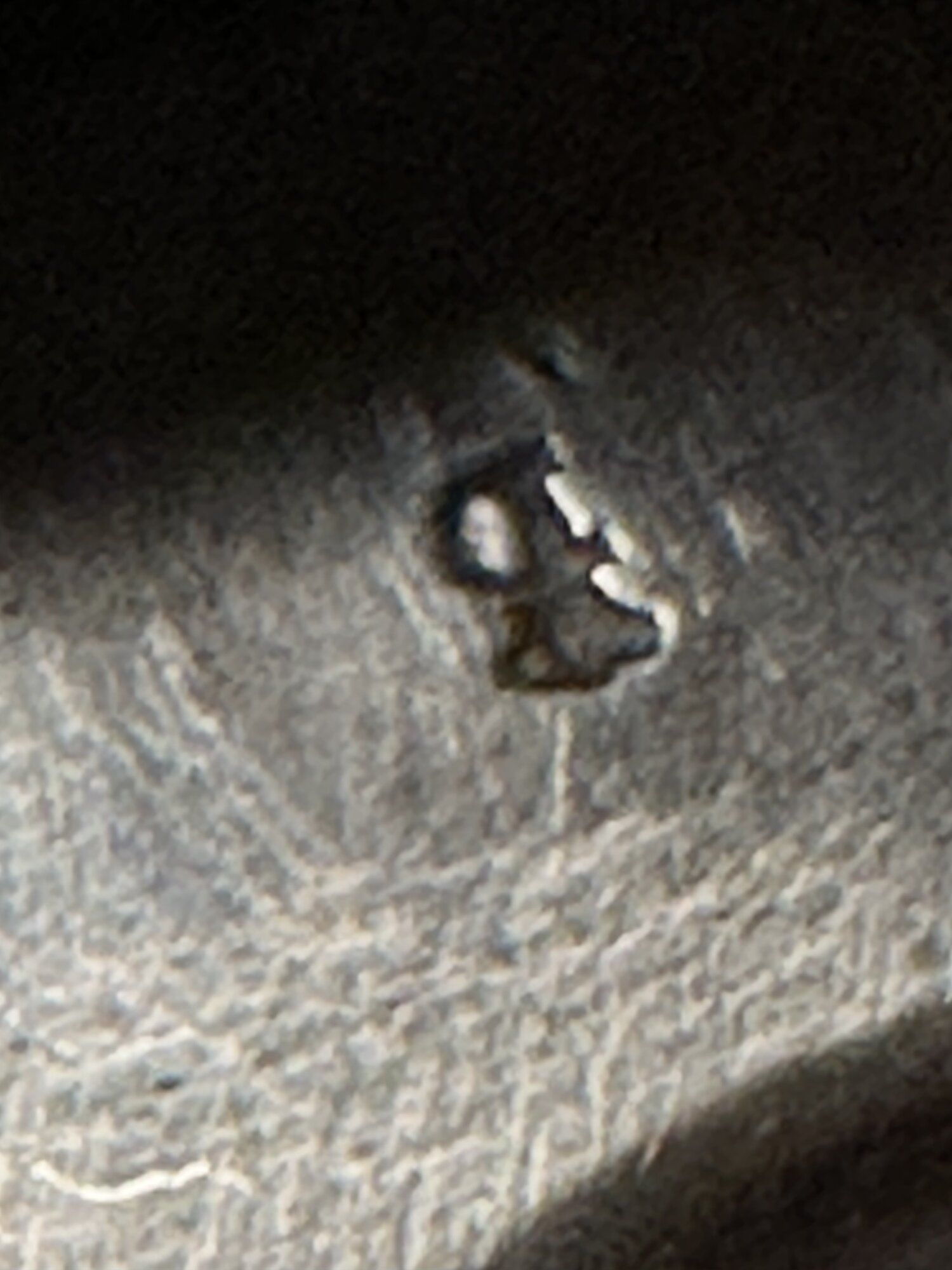 IMG_1038.jpeg
