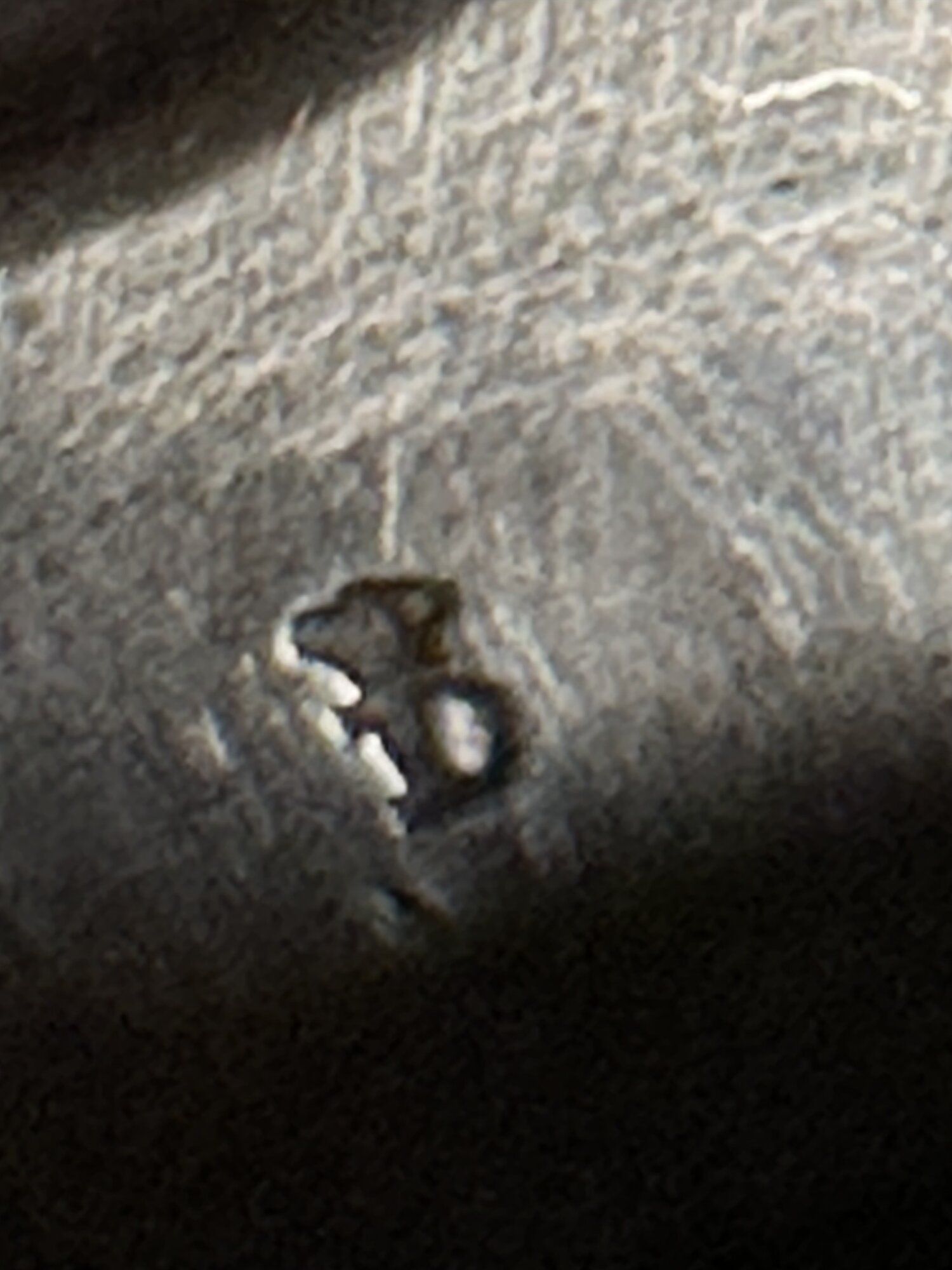 IMG_1038.jpeg