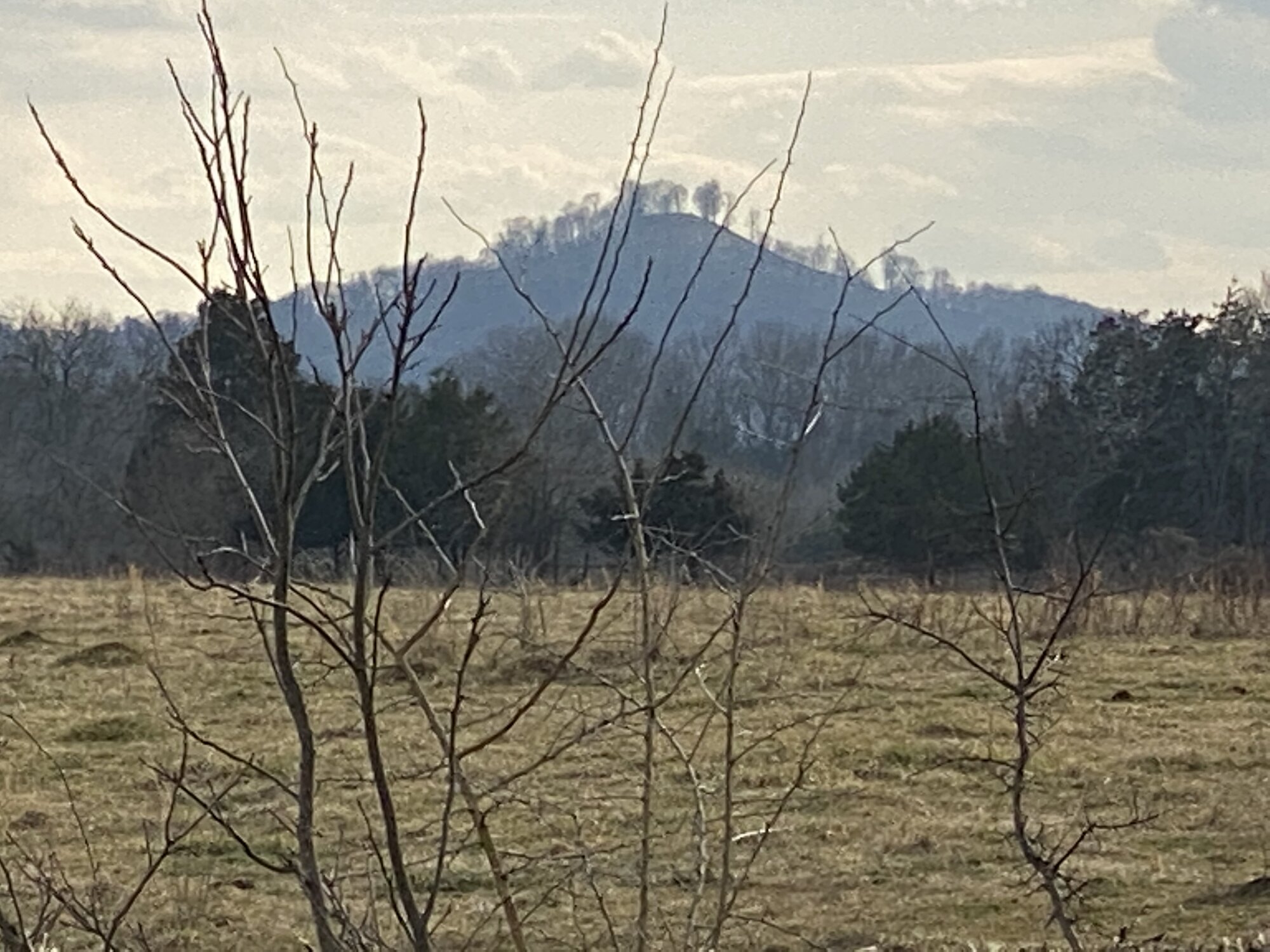 IMG_1064.jpeg