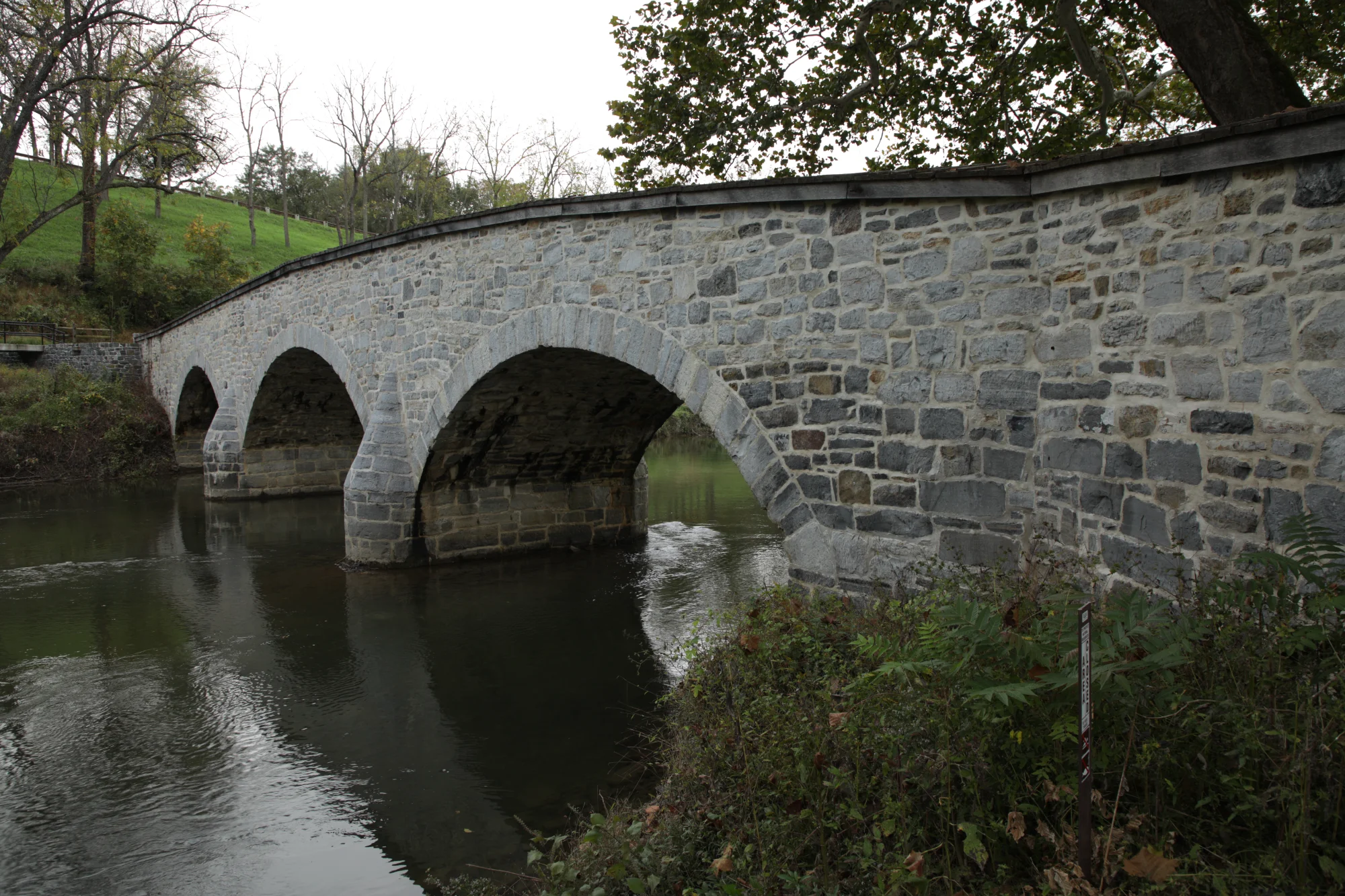 IMG_1077.webp