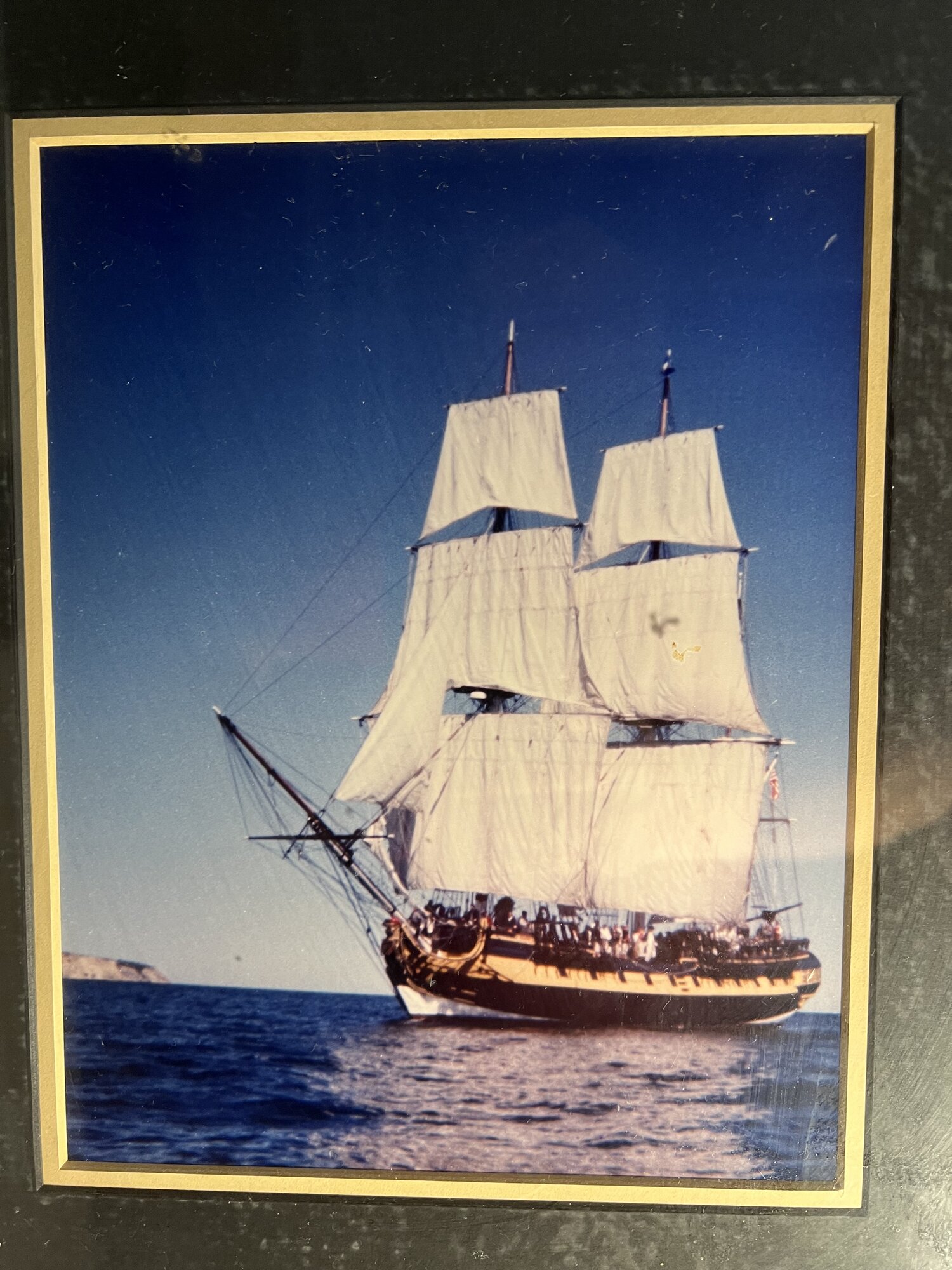 IMG_1914.jpeg