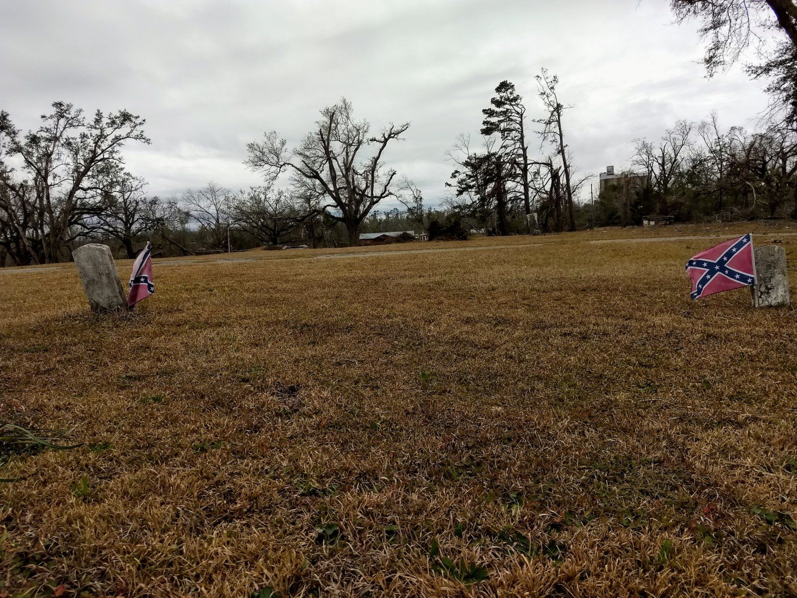 IMG_20190201_115030172.jpg