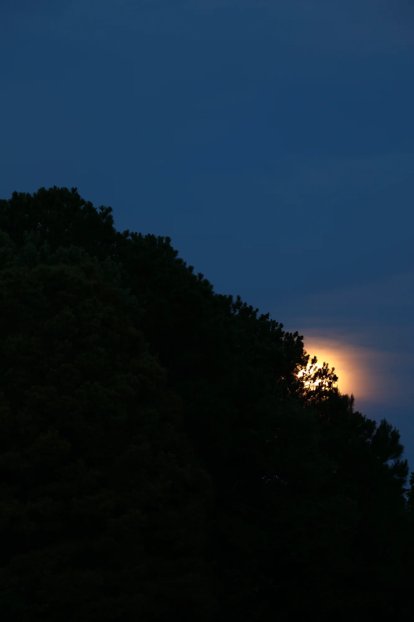 IMG_2202.webp