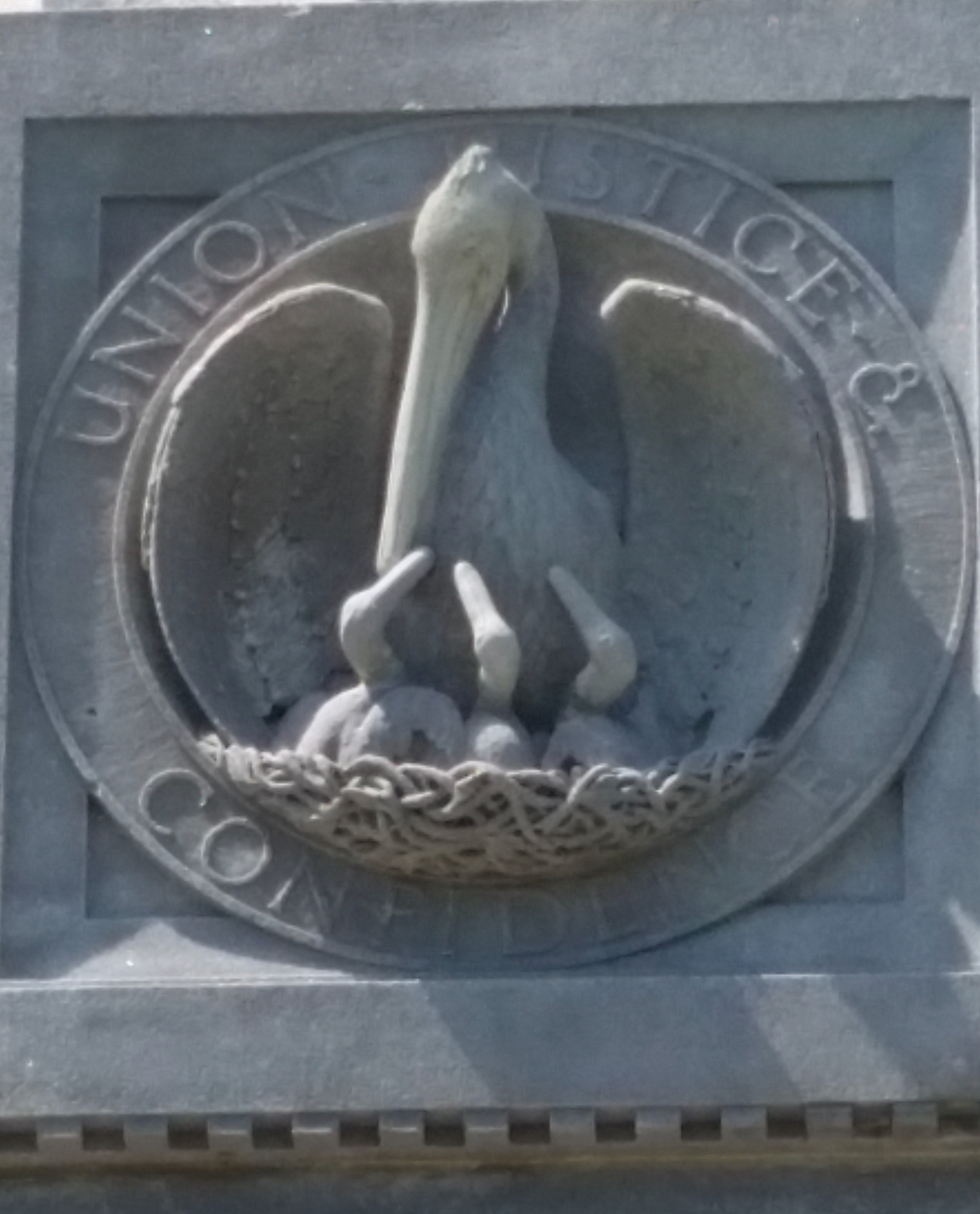 IMG_2360.jpeg