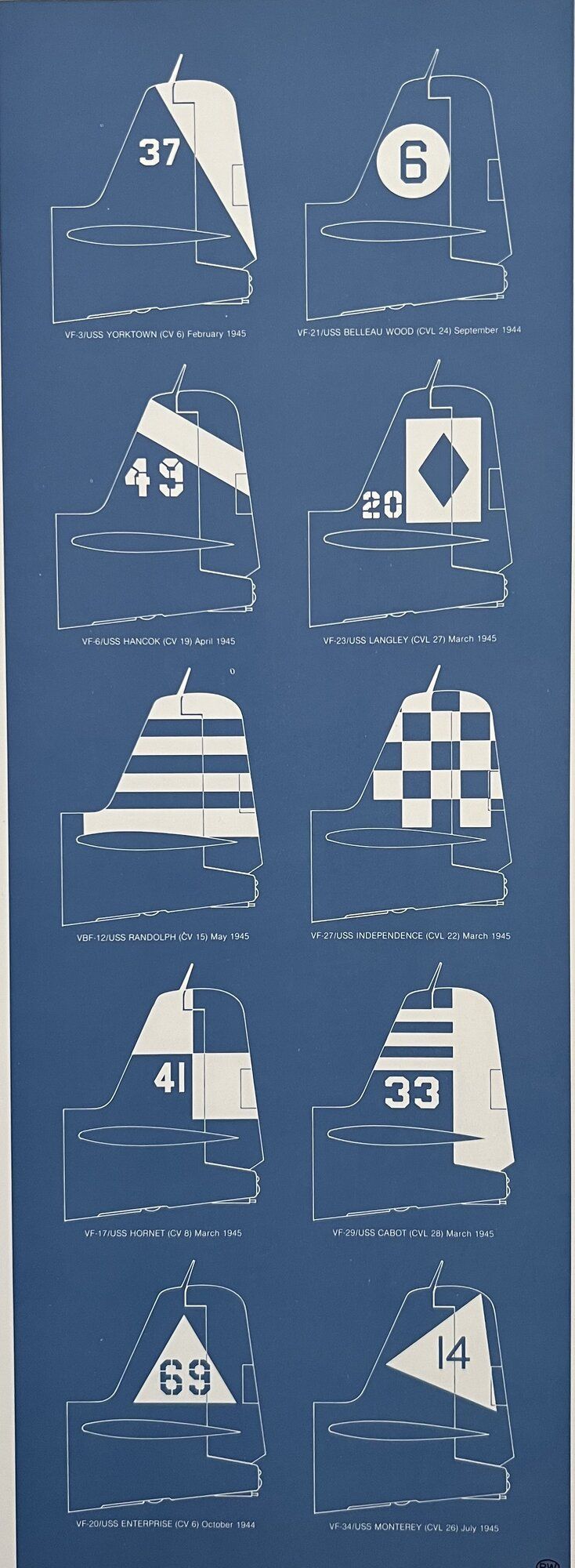 IMG_2565.jpeg