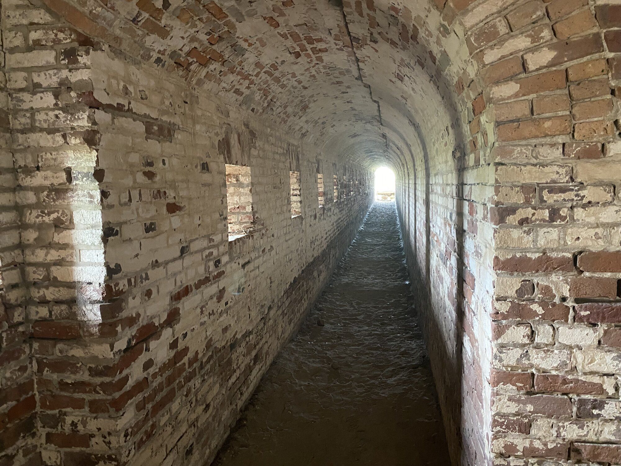 IMG_3206.jpeg