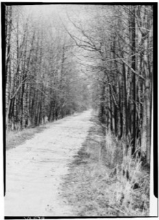 IMG_3517.jpeg