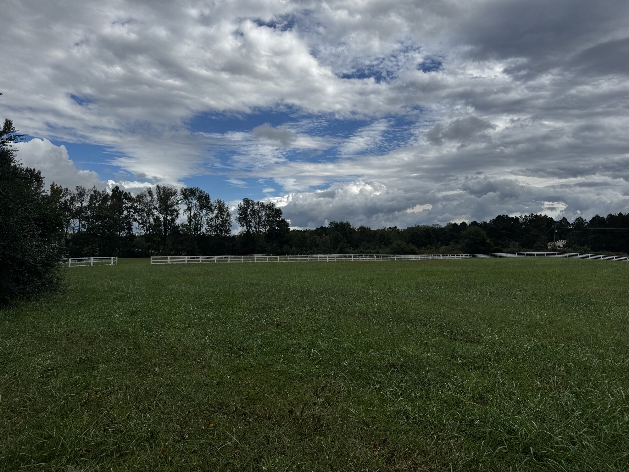 IMG_3977.jpeg