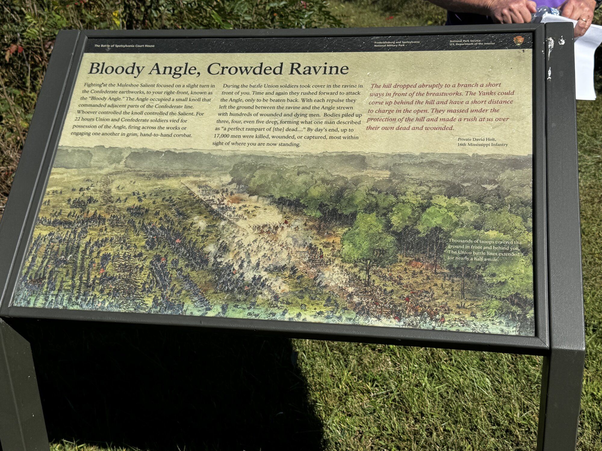 IMG_4066.jpeg