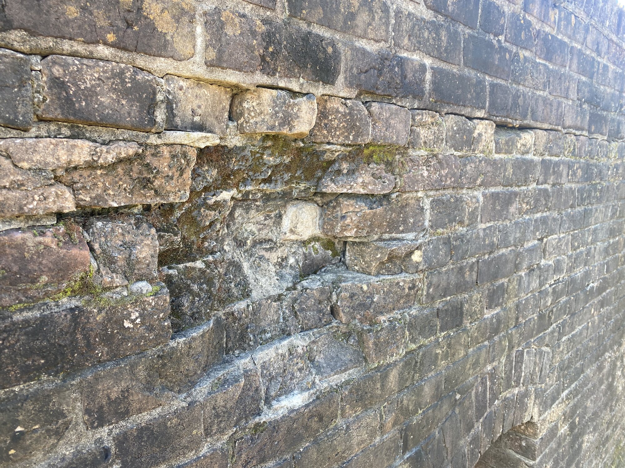IMG_4540.jpeg