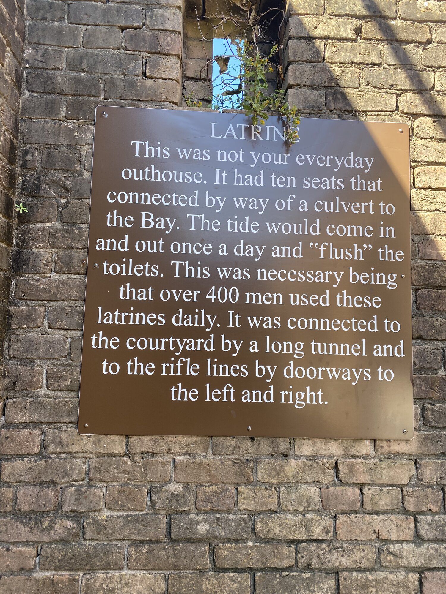 IMG_4594.jpeg
