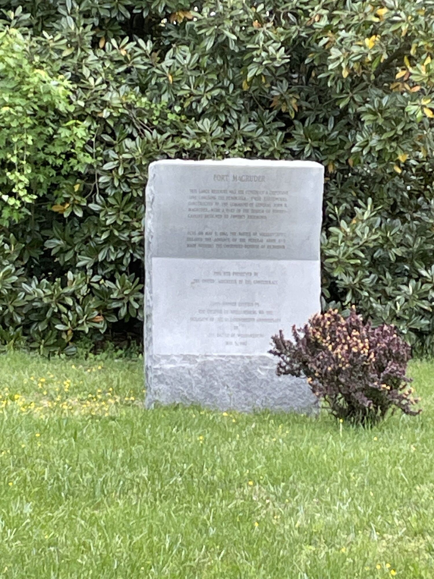 IMG_7870.jpeg