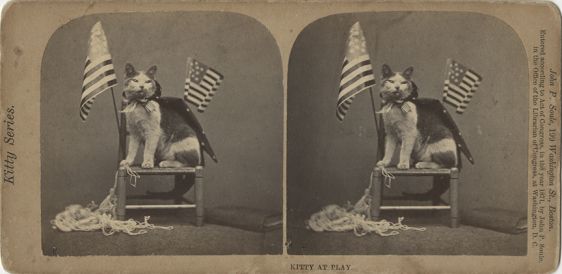 kittyflags1871.jpg