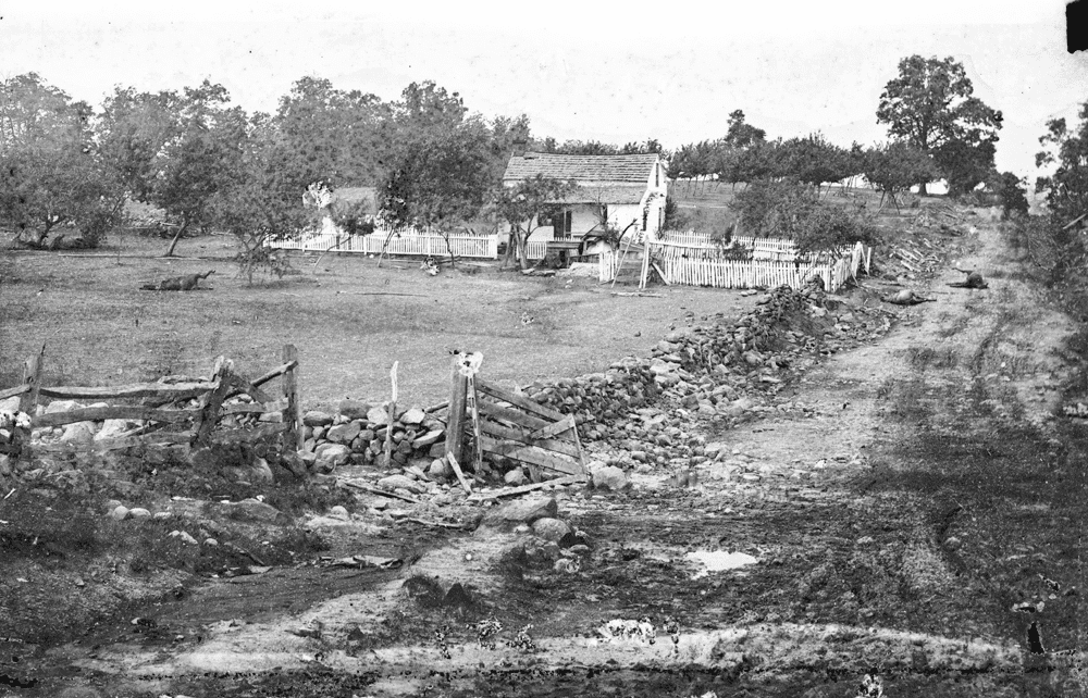 Leister-1863.png