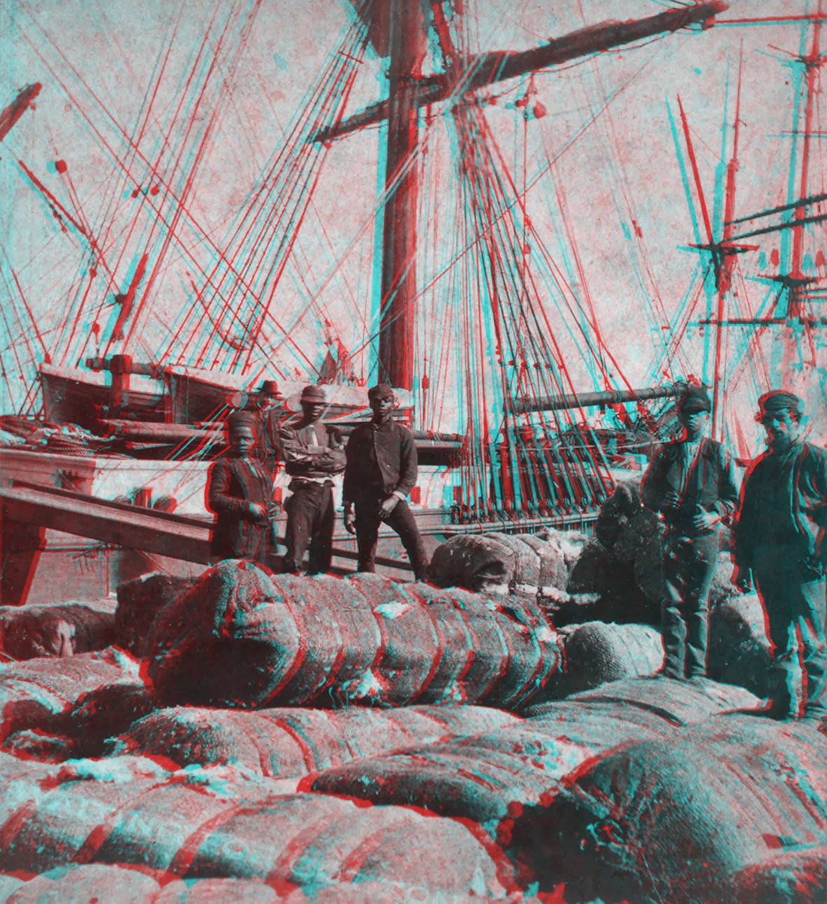 Loading Cotton.JPG