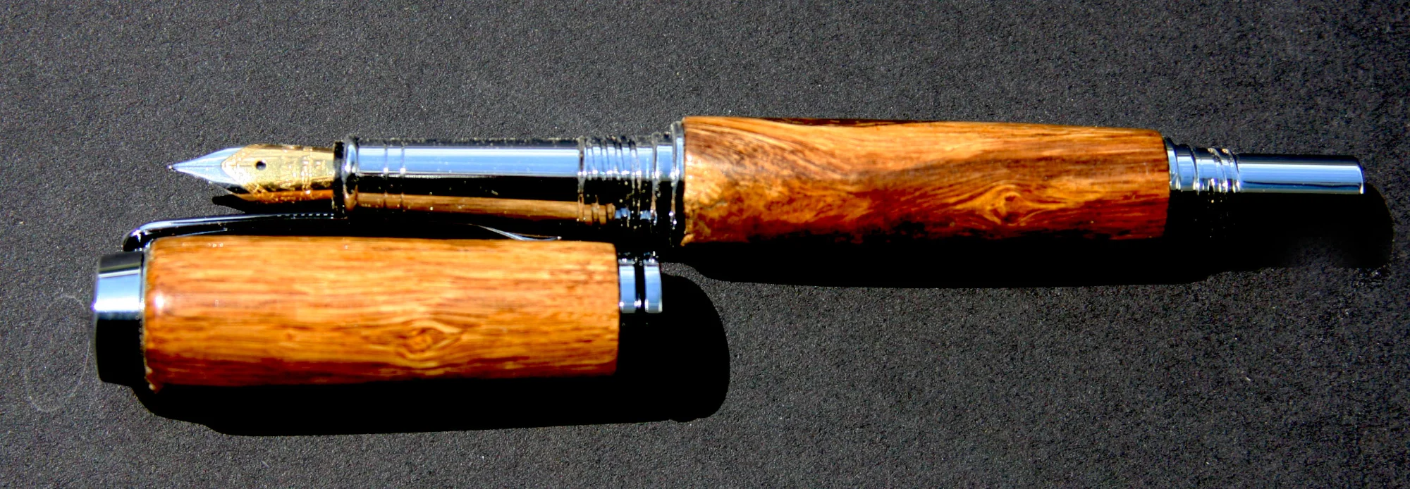 magnolia pen.webp
