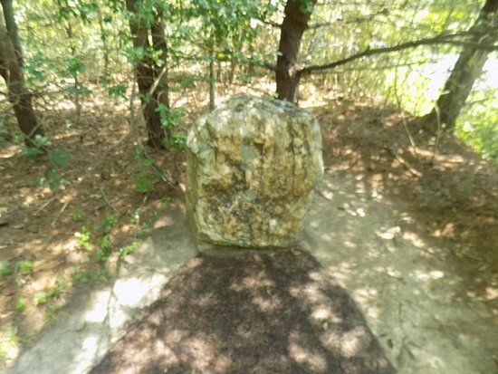 marker.jpg