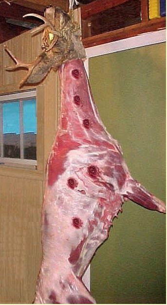 Mountain howitzer deer.jpeg
