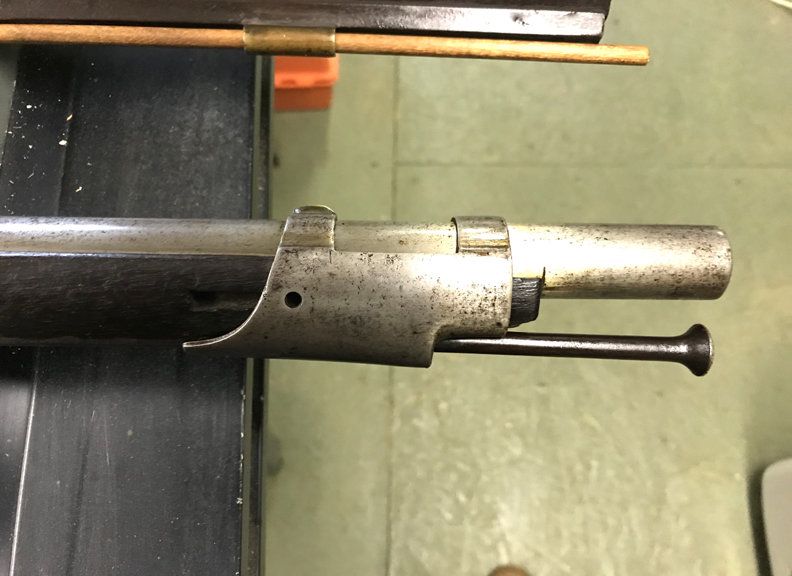Muzzle.jpg