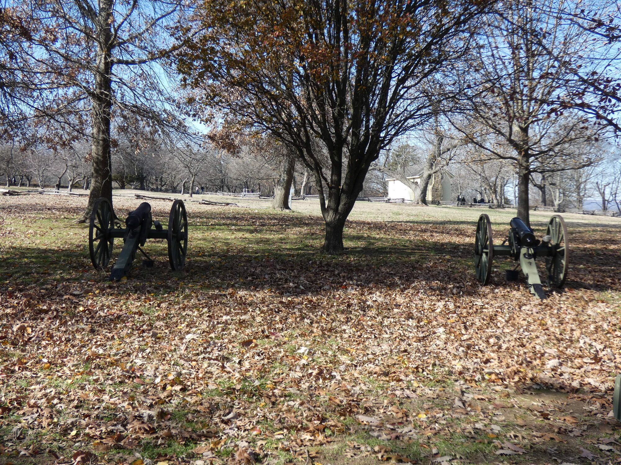 P1010237.JPG