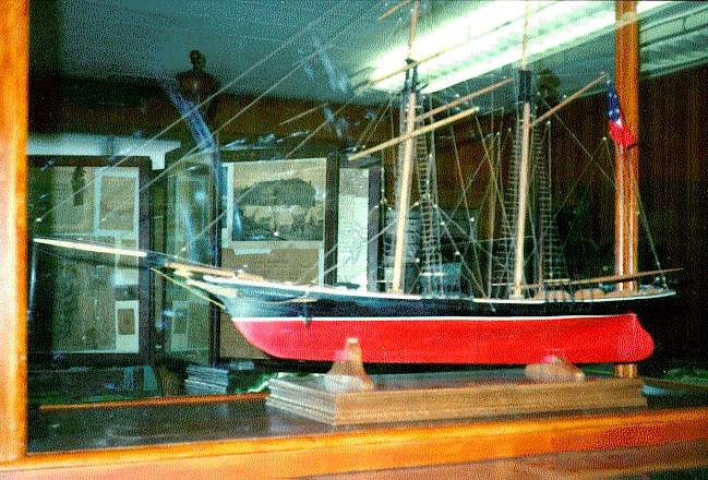 PETREL01.GIF