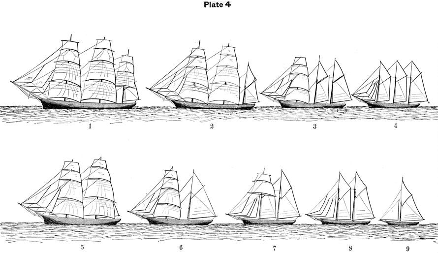 plate4.jpg