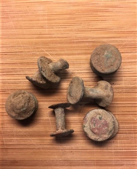 A Better Activity During the COVID-19 Outbreak: Going Relic Hunting ...
