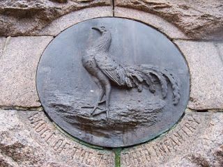 ROOSTER7.jpg