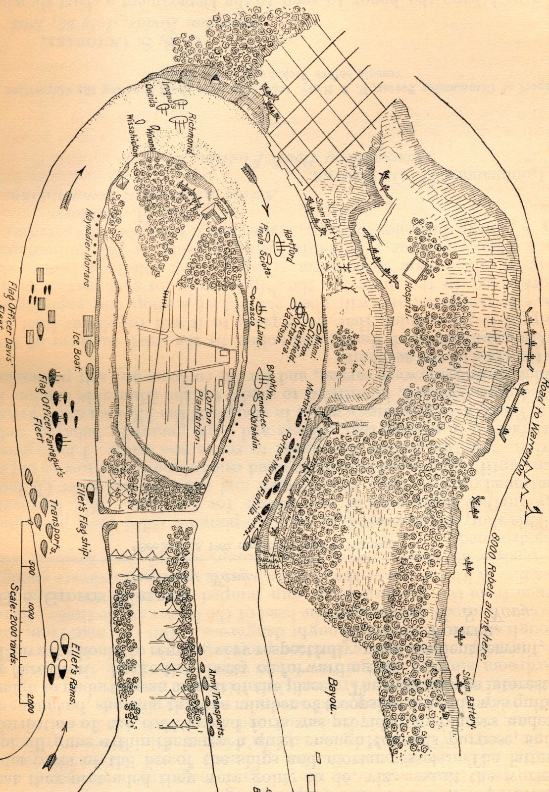 Scan 1.jpeg