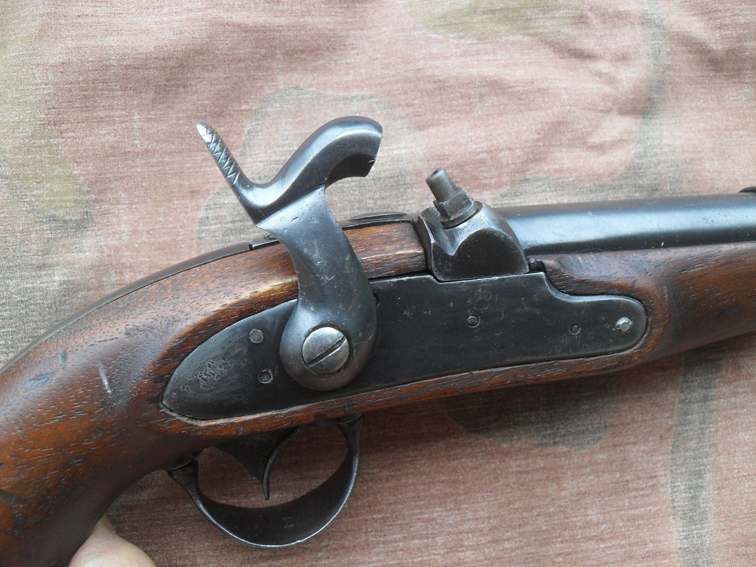 SDC13673.JPG