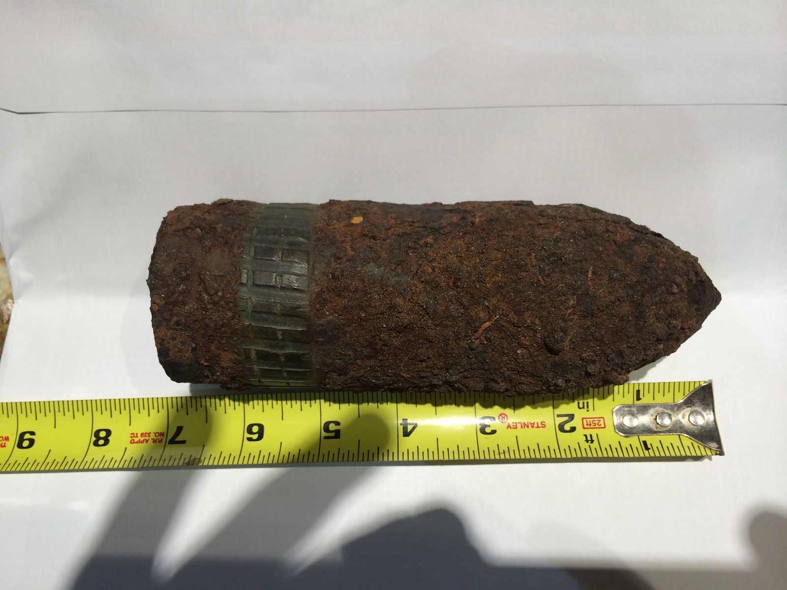 Shell 1.jpg