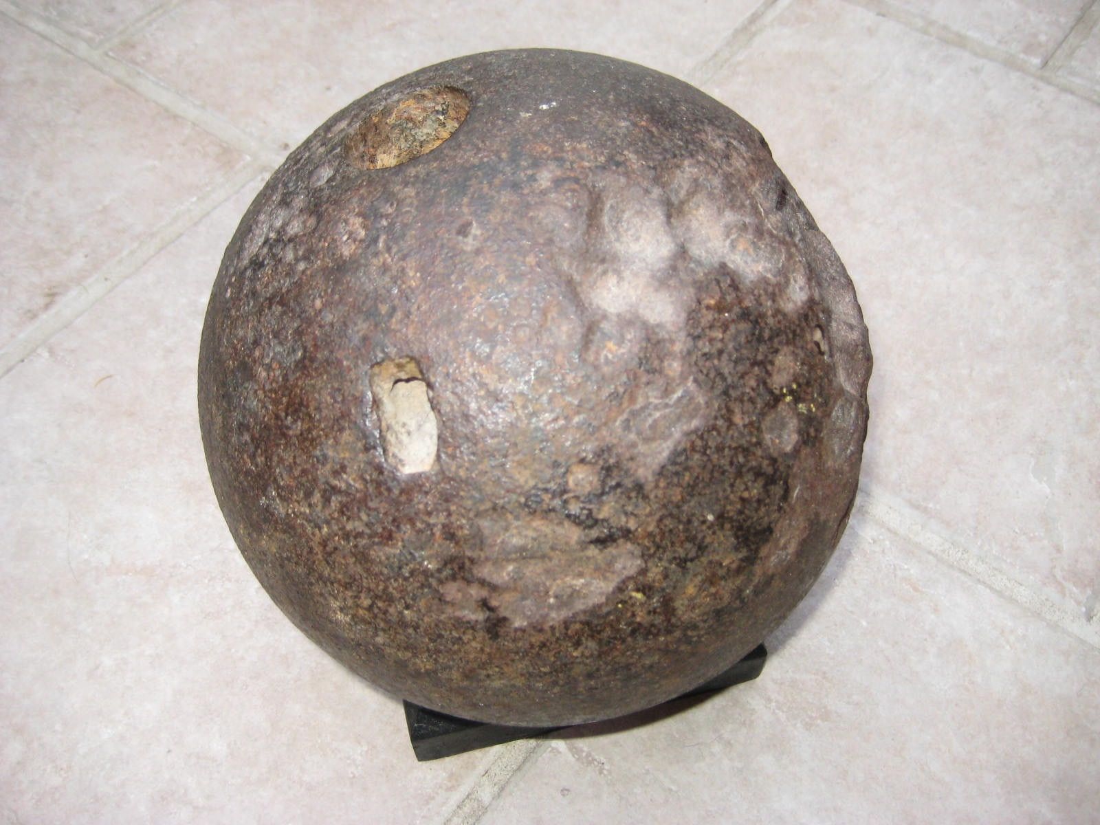 Shell 5.jpg