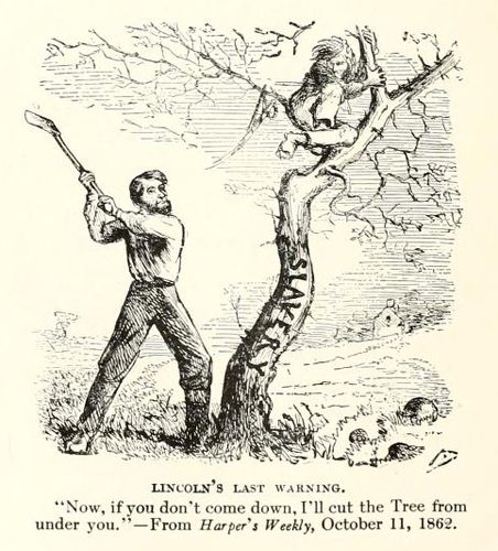 tree.jpg