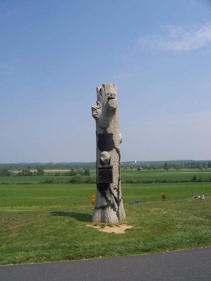 tree mon.jpg