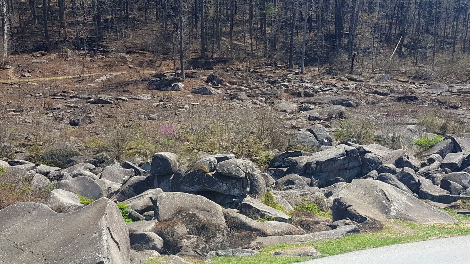 upload_2018-5-11_17-50-50.jpeg