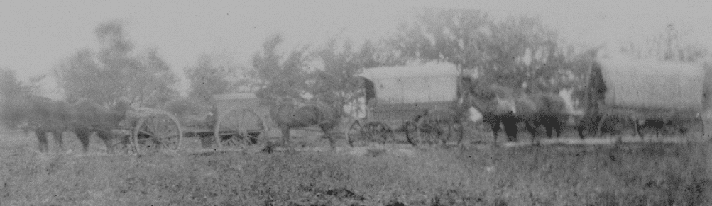wagonquestion.png