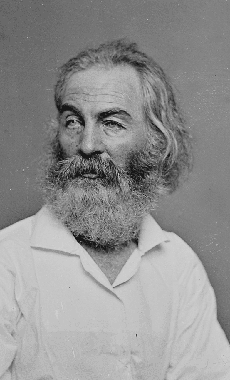 Whitman.png