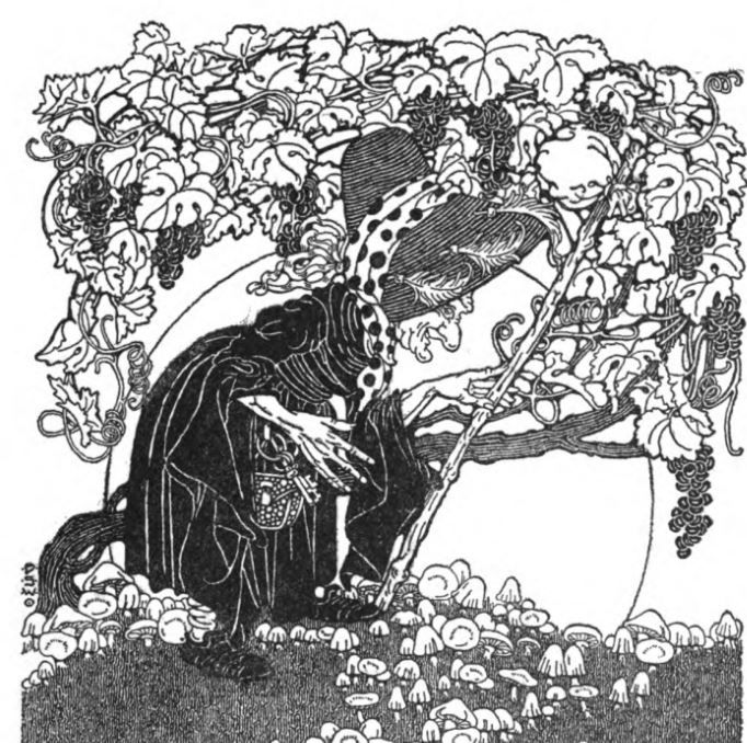 witch.JPG